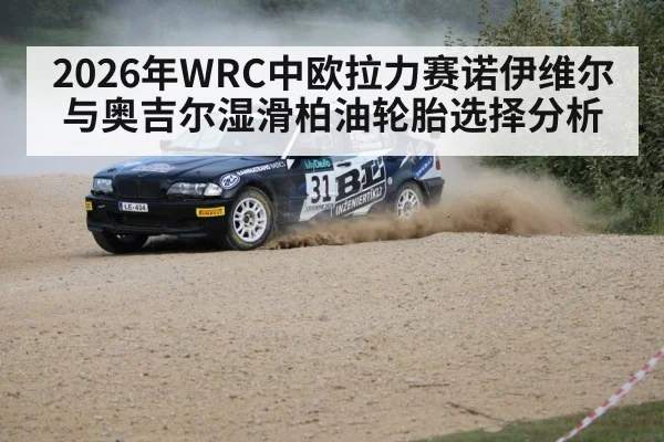 rally car wet road cornering（kaiyun）